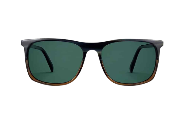 Warby Parker Downing Wide Sunglasses