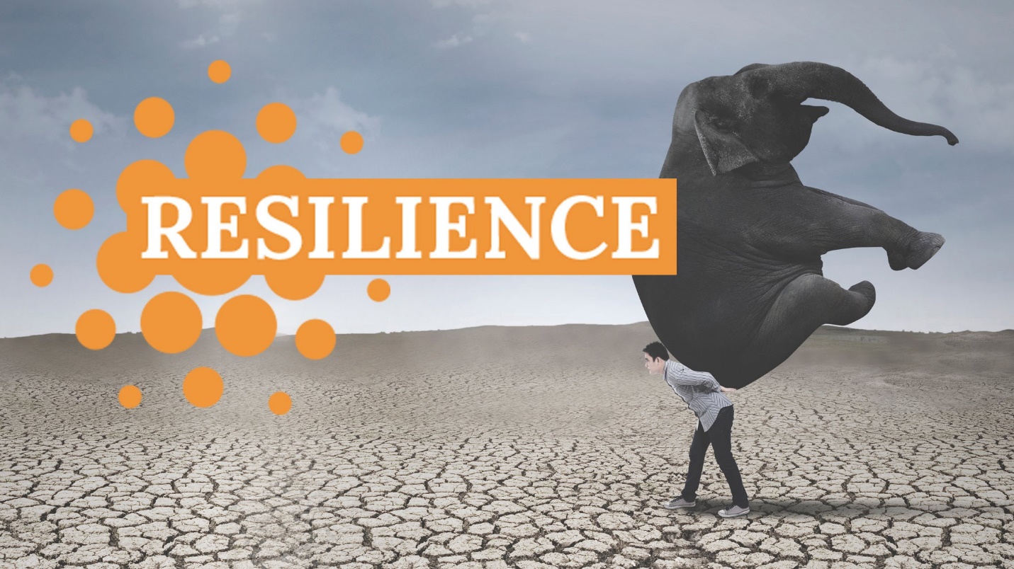 Resilience - The art of coping with disasters | edX